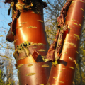 Prunus met decoratieve schors