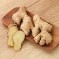 Gember - Zingiber